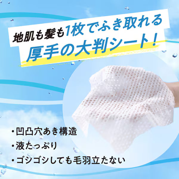 Shampoo En Seco Merit Day+ Toallas Dry 12 P Japonesas