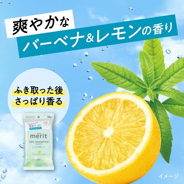 Shampoo En Seco Merit Day+ Toallas Dry 12 P Japonesas