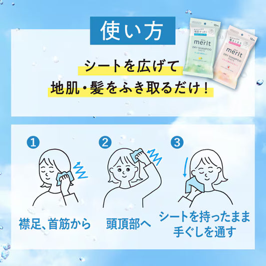 Shampoo En Seco Merit Day+ Toallas Dry 12 P Japonesas